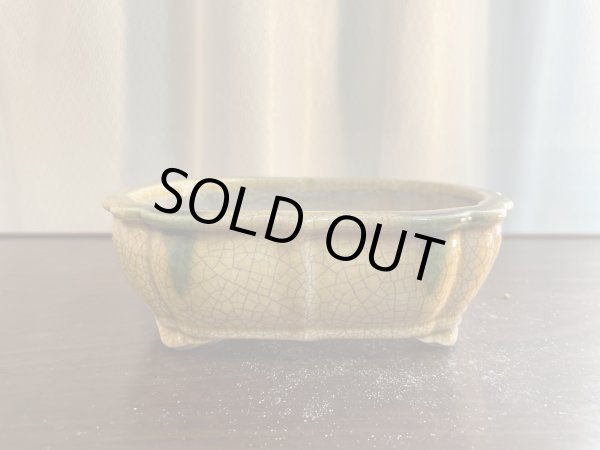 画像1: SA5629  里美 (1)