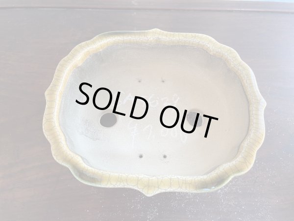 画像2: SA5629  里美 (2)