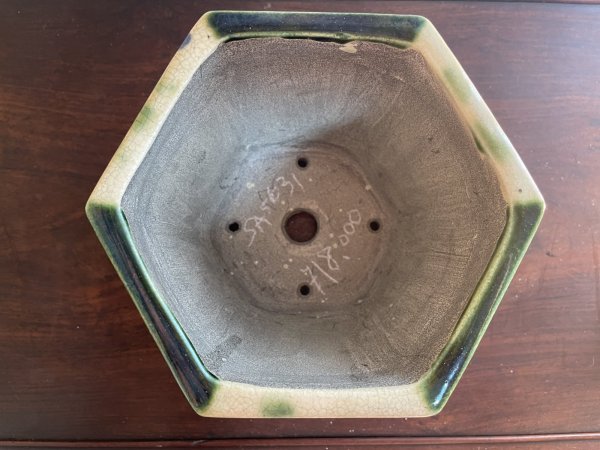 画像2: SA5631  里美 (2)