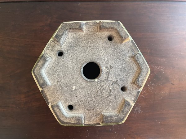 画像3: SA5631  里美 (3)