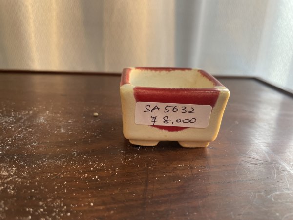 画像1: SA5632  里美 (1)