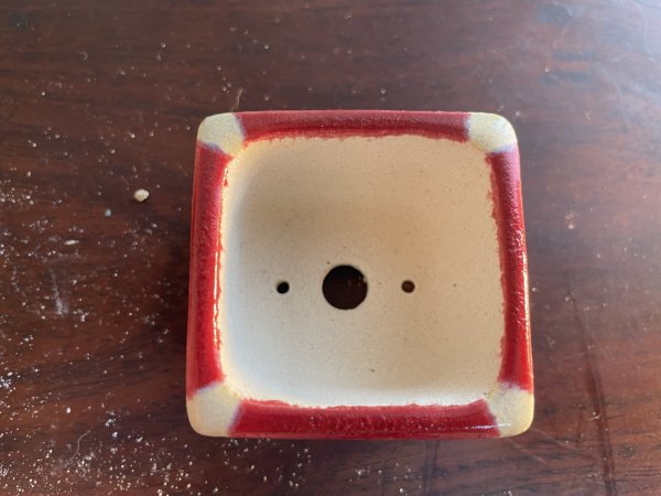 画像2: SA5632  里美 (2)