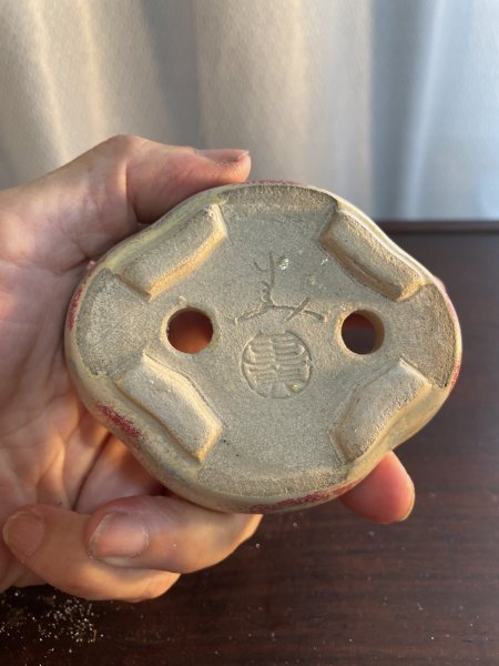 画像3: SA5633  里美 (3)