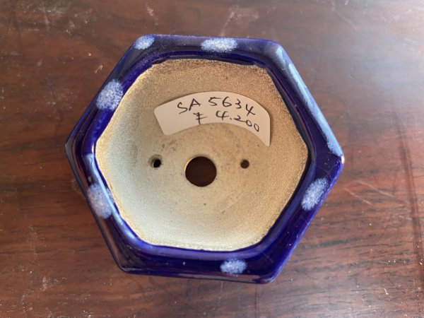 画像2: SA5634  里美 (2)