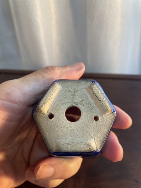 画像3: SA5634  里美 (3)