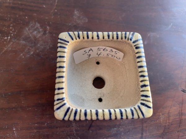 画像2: SA5635  里美 (2)