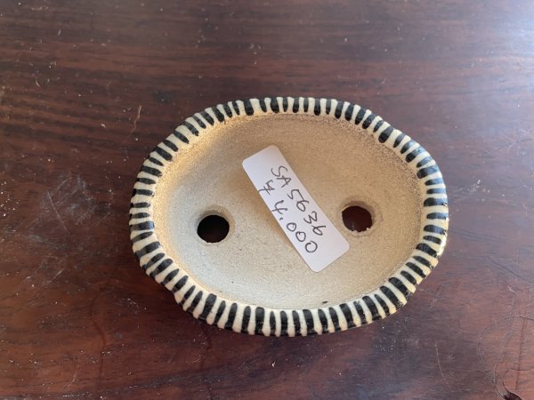 画像2: SA5636  里美 (2)