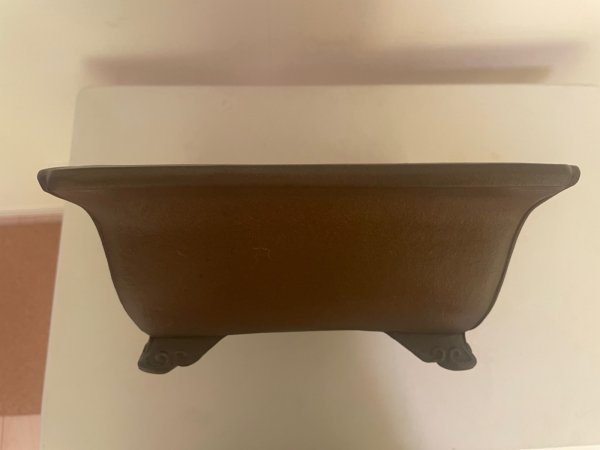 画像5: No.MA5801  行山鉢 (5)