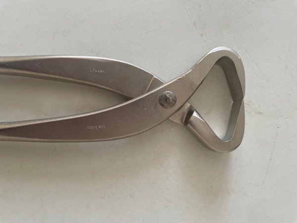 画像3: No.8114  幹割(中) (3)