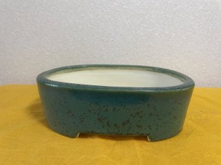 常滑鉢 ｜ 鉢専門の盆栽ネットワーク・ジャパン