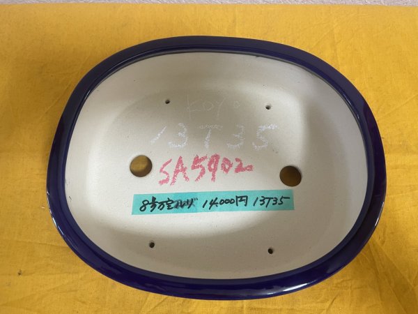 画像2: No.SA5902 黎鳳 (2)