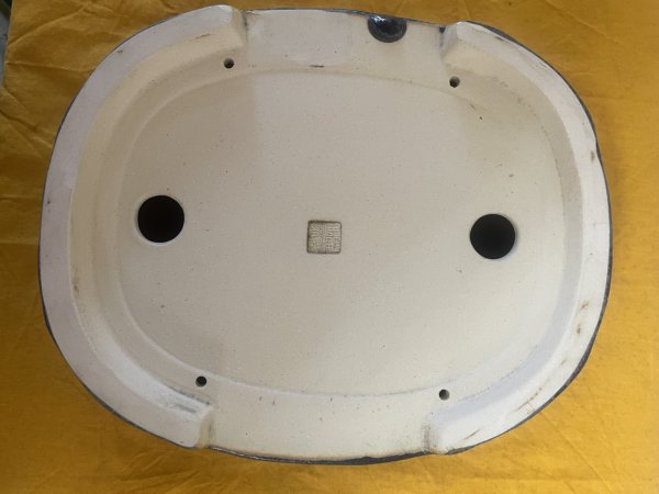 画像3: No.SA5903 黎鳳 (3)