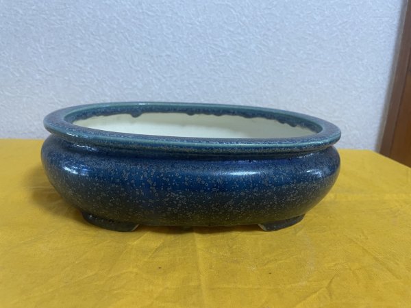 画像1: No.SA5907 黎鳳 (1)