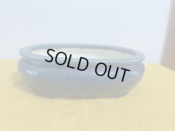 画像1: No.SA5907 黎鳳 (1)