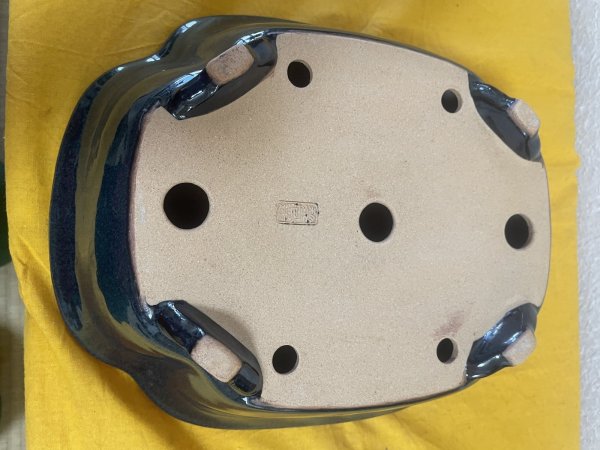 画像3: No.SA5909 黎鳳 (3)