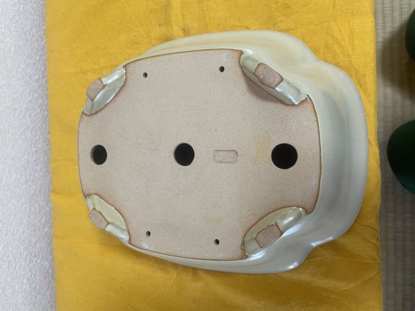 画像3: No.SA5910 黎鳳 (3)