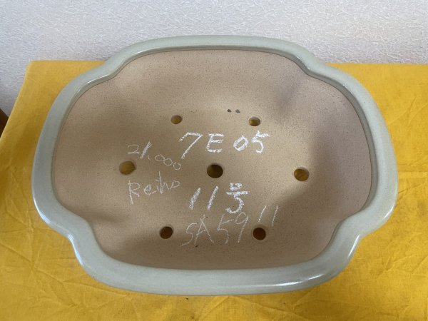 画像2: No.SA5911 黎鳳 (2)