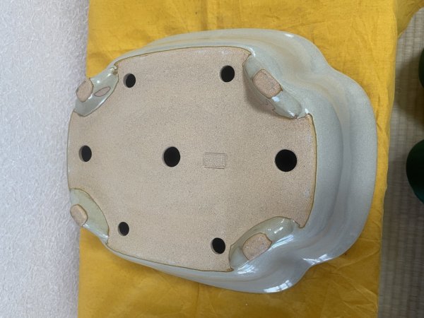 画像3: No.SA5911 黎鳳 (3)