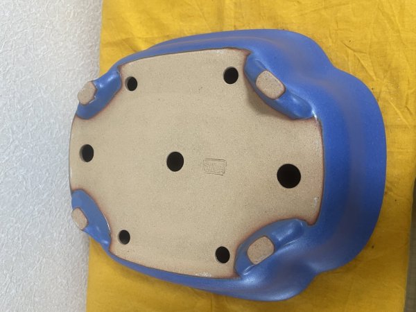 画像3: No.SA5912 黎鳳 (3)