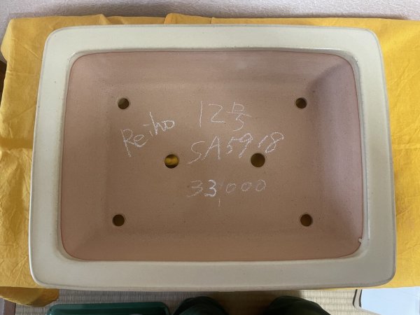 画像2: No.SA5918 黎鳳 (2)