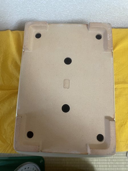 画像3: No.SA5918 黎鳳 (3)