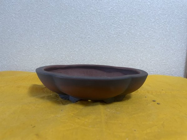 画像1: No.SA5920 美芸 (1)