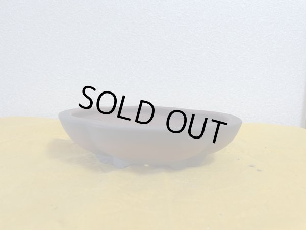 画像1: No.SA5920 美芸 (1)