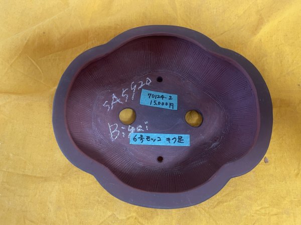 画像2: No.SA5920 美芸 (2)