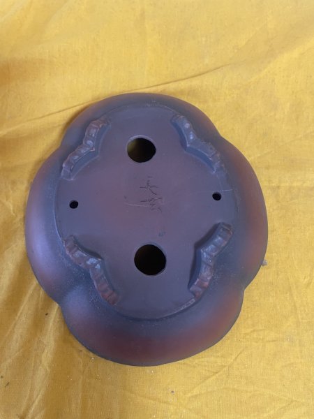 画像3: No.SA5920 美芸 (3)