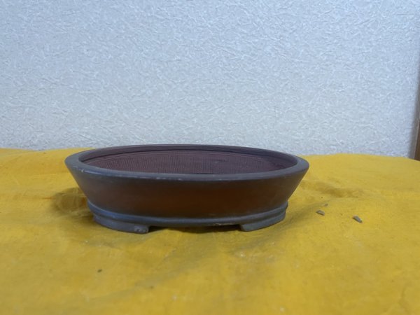 画像1: No.SA5921 美芸 (1)