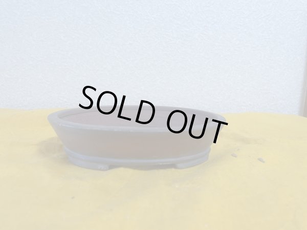 画像1: No.SA5921 美芸 (1)