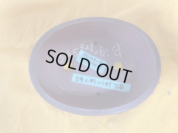 画像2: No.SA5921 美芸 (2)