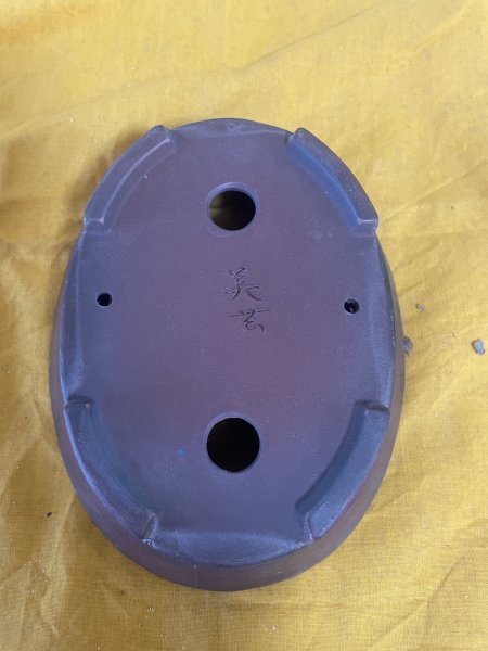 画像3: No.SA5921 美芸 (3)