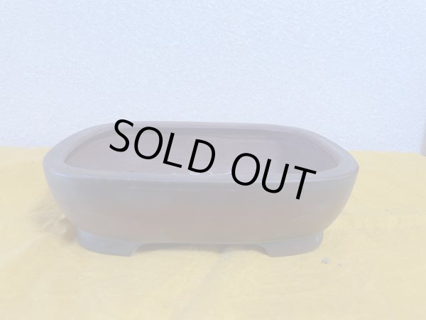 画像1: No.SA5923 美芸 (1)