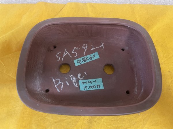 画像3: No.SA5923 美芸 (3)