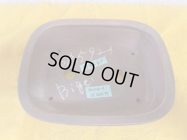 画像3: No.SA5923 美芸 (3)