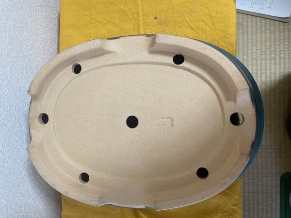 画像2: No.SA5924 黎鳳 (2)