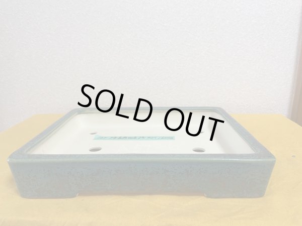 画像1: No.SA5926 鴻陽 (1)