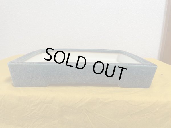 画像1: No.SA5927 鴻陽 (1)