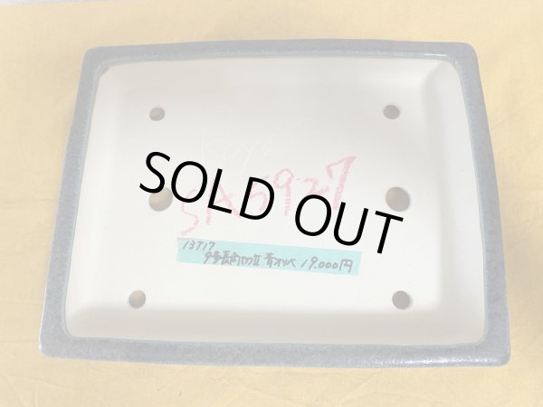 画像2: No.SA5927 鴻陽 (2)