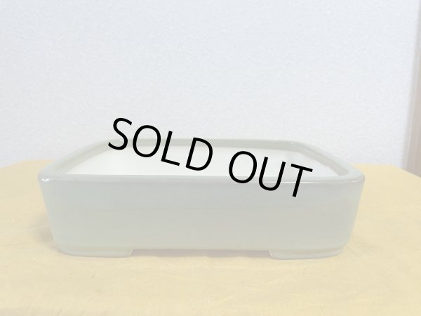 画像1: No.SA5928 鴻陽 (1)