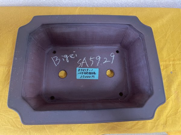 画像2: No.SA5929 美芸 (2)