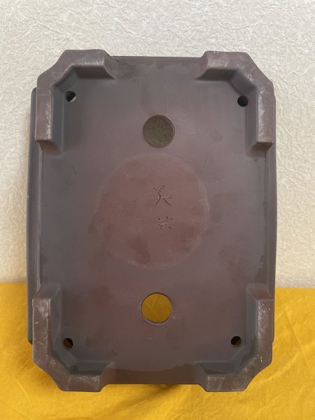 画像3: No.SA5929 美芸 (3)