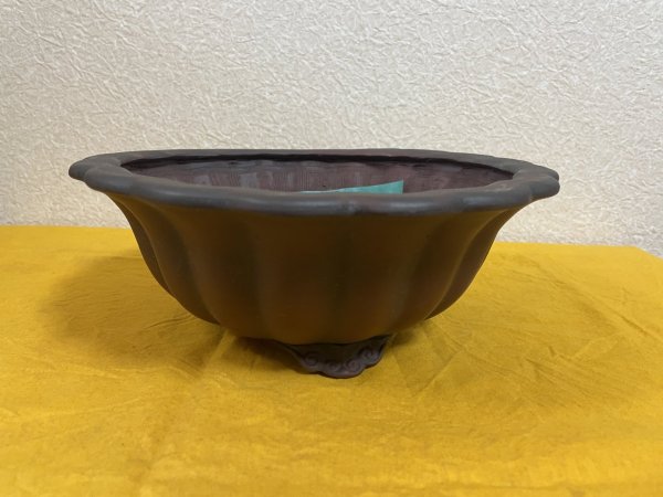 画像1: No.SA51102 美芸 (1)