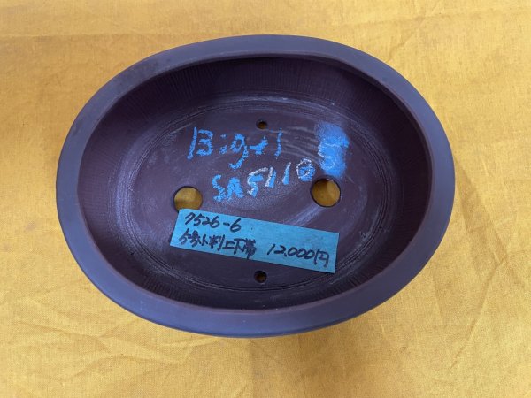 画像2: No.SA51105 美芸 (2)