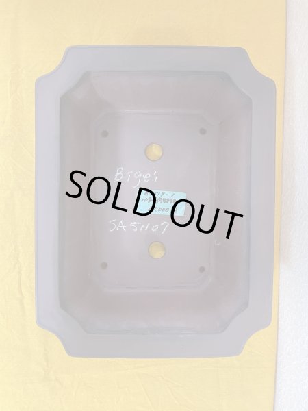 画像3: No.SA51107 美芸 (3)