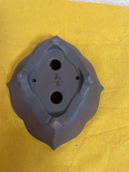 画像3: No.SA51109 美芸 (3)