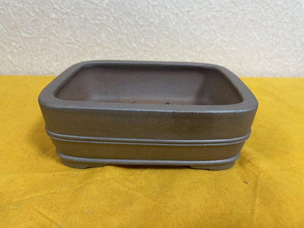 画像1: No.SA51112 黎鳳 (1)