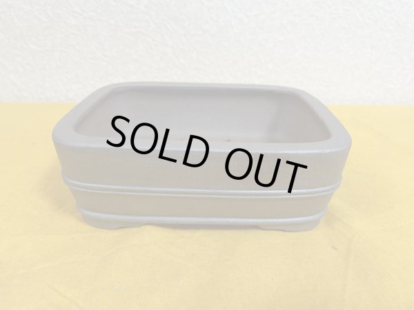 画像1: No.SA51112 黎鳳 (1)