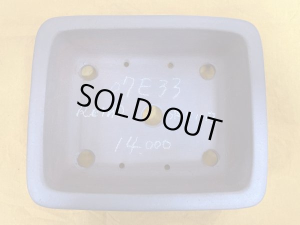 画像3: No.SA51113 黎鳳 (3)